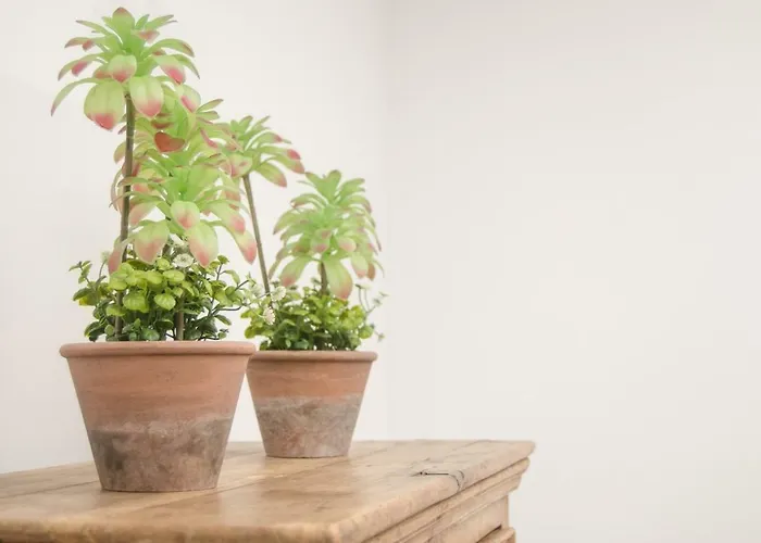 アパート Casa Mirlo - Peaceful With Garden & Terrace In Lanzarote