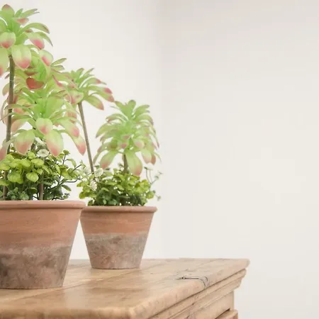 Apartman Casa Mirlo, Coqueto Con Terraza Y Jardin En Zona Tranquila